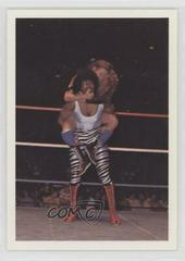 Linda Dallas vs Venus Wrestling Cards 1988 Wonderama NWA Prices