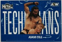 Adam Cole #TN-2 Wrestling Cards 2022 SkyBox Metal Universe AEW Technicians Prices