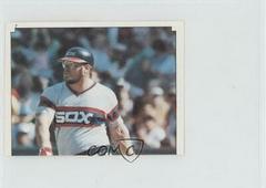 Greg Luzinski #7 Baseball Cards 1984 Topps Stickers Prices