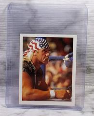Hulk Hogan Wrestling Cards 1992 Merlin WWF Stickers Prices