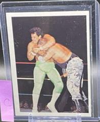 Ricky Santana #32 Wrestling Cards 1988 Wonderama NWA Prices