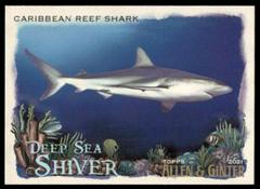 Caribbean Reef Shark #DSS-13 Baseball Cards 2021 Topps Allen & Ginter Deep Sea Shiver Prices