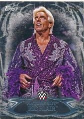 Ric Flair [Black] #20 Wrestling Cards 2015 Topps WWE Undisputed Prices