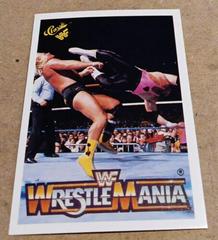 Bret 'Hitman' Hart, Greg 'The Hammer' Valentine Wrestling Cards 1990 Classic WWF The History of Wrestlemania Prices