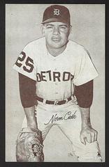 Norm Cash Baseball Cards 1962 Exhibits Statistic Back Prices