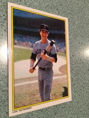 Carl Yastrzemski Baseball Cards 1983 Topps All Star Glossy Set of 40 Prices