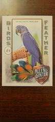 Hyacinth Macaw Baseball Cards 2021 Topps Allen & Ginter Birds of a Feather Prices
