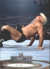 Ric Flair #21 Wrestling Cards 2003 Fleer WWE WrestleMania XIX Prices