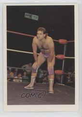 Larry Stephens #45 Wrestling Cards 1988 Wonderama NWA Prices