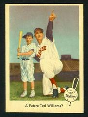 A Future Ted [Williams?] #69 Baseball Cards 1959 Fleer Ted Williams Prices