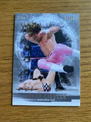 Dolph Ziggler [Silver] #13 Wrestling Cards 2017 Topps WWE Undisputed Prices
