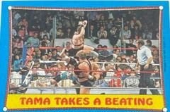 Demolition, Islanders Wrestling Cards 1987 Topps WWF Prices