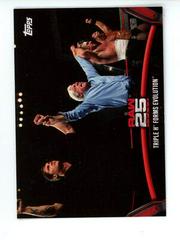 Triple H Wrestling Cards 2018 Topps WWE Then Now Forever 25 Years of Raw Prices