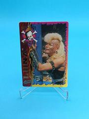 Luna Wrestling Cards 1995 Action Packed WWF Prices