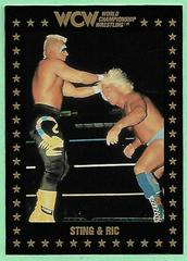 Sting & Ric #20 Wrestling Cards 1991 Championship Marketing WCW Prices