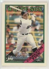 Carlton Fisk #385 Baseball Cards 1988 Topps Tiffany Prices