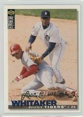 Lou Whitaker [Gold Signature] Baseball Cards 1995 Collector's Choice Prices