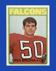 Greg Brezina #196 Football Cards 1972 Topps Prices