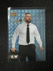 Mark Sterling [Star Sapphires] #PP- 49 Wrestling Cards 2022 SkyBox Metal Universe AEW Premium Prices
