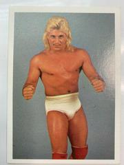 Cougar Jay Wrestling Cards 1988 Wonderama NWA Prices