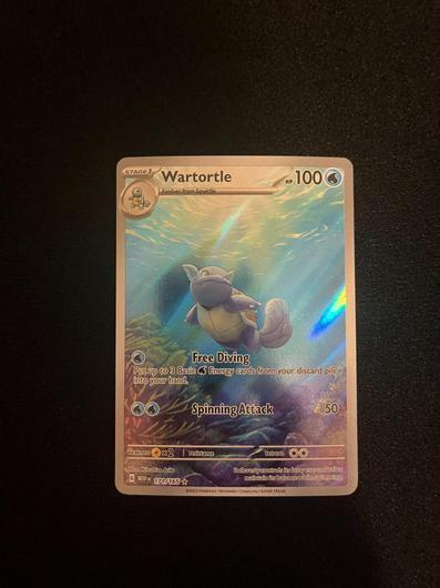 Wartortle #171 photo