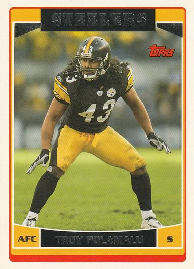 Troy Polamalu #16 photo