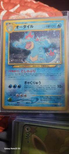 Feraligatr #160 photo