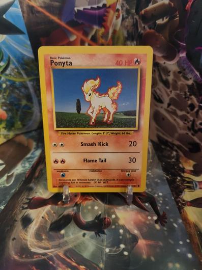 Ponyta #60 photo