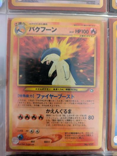 Typhlosion [Premium File] #157 photo