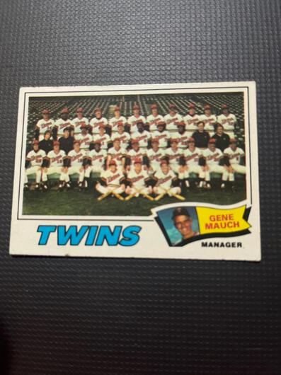 Twins Team #228 photo