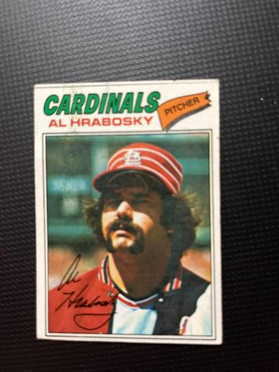 Al Hrabosky #495 photo