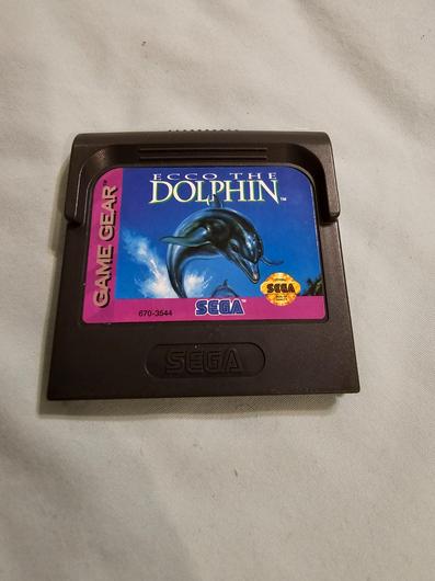 Ecco the Dolphin photo