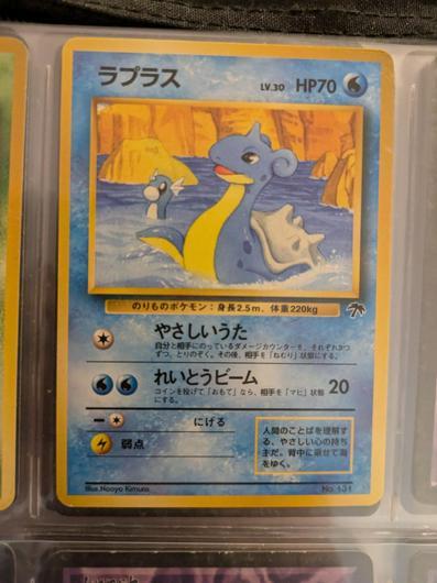 Lapras photo