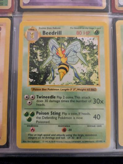 Beedrill [Shadowless] #17 photo