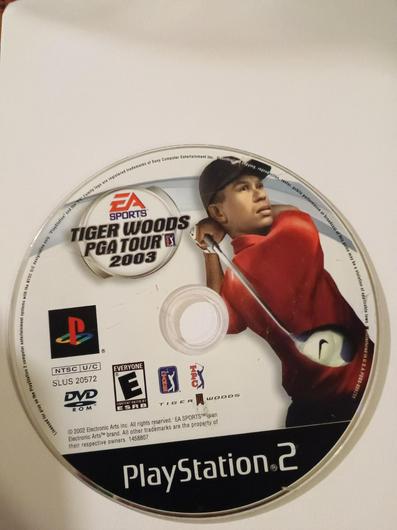 Tiger Woods 2003 photo