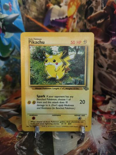 Pikachu #60 photo