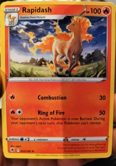 Rapidash #22 photo