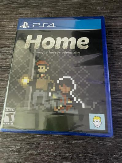 Home: A Unique Horror Adventure photo