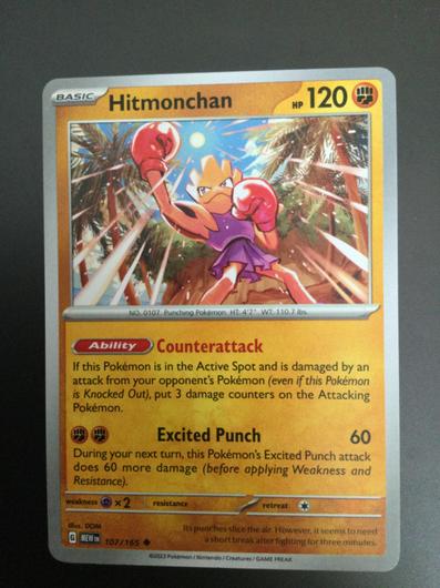 Hitmonchan #107 photo