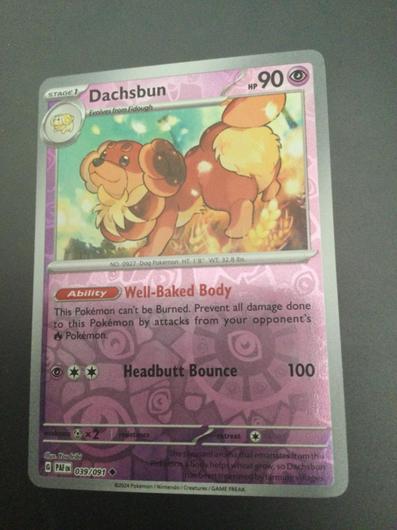 Dachsbun [Reverse Holo] #39 photo