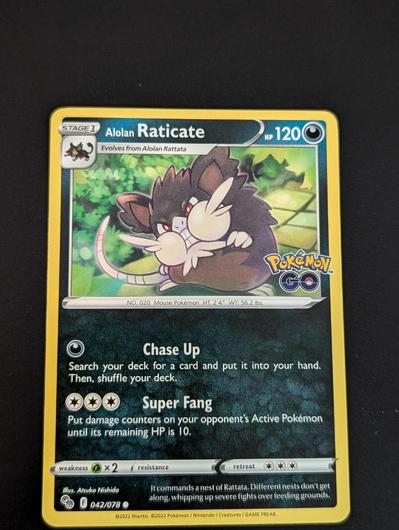 Alolan Raticate #42 photo