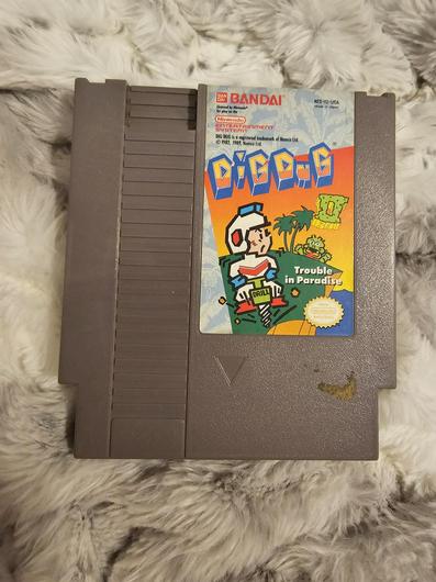 Dig Dug II: Trouble in Paradise photo