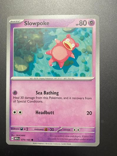 Slowpoke #79 photo