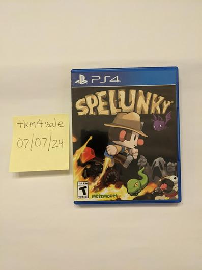 Spelunky photo