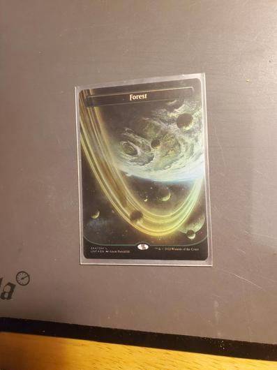 Forest [Foil] #244 photo