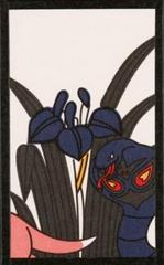 Arbok, Slowpoke (May) Pokemon Japanese Hanafuda Prices