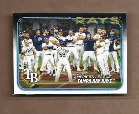 Tampa Bay Rays #211 photo