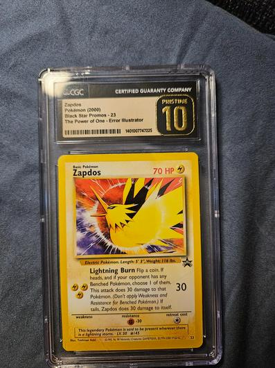 Zapdos #23 photo