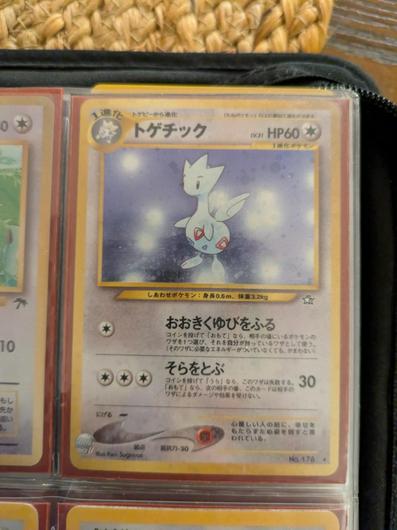 Togetic photo