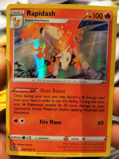 Rapidash [Holo] #22 photo